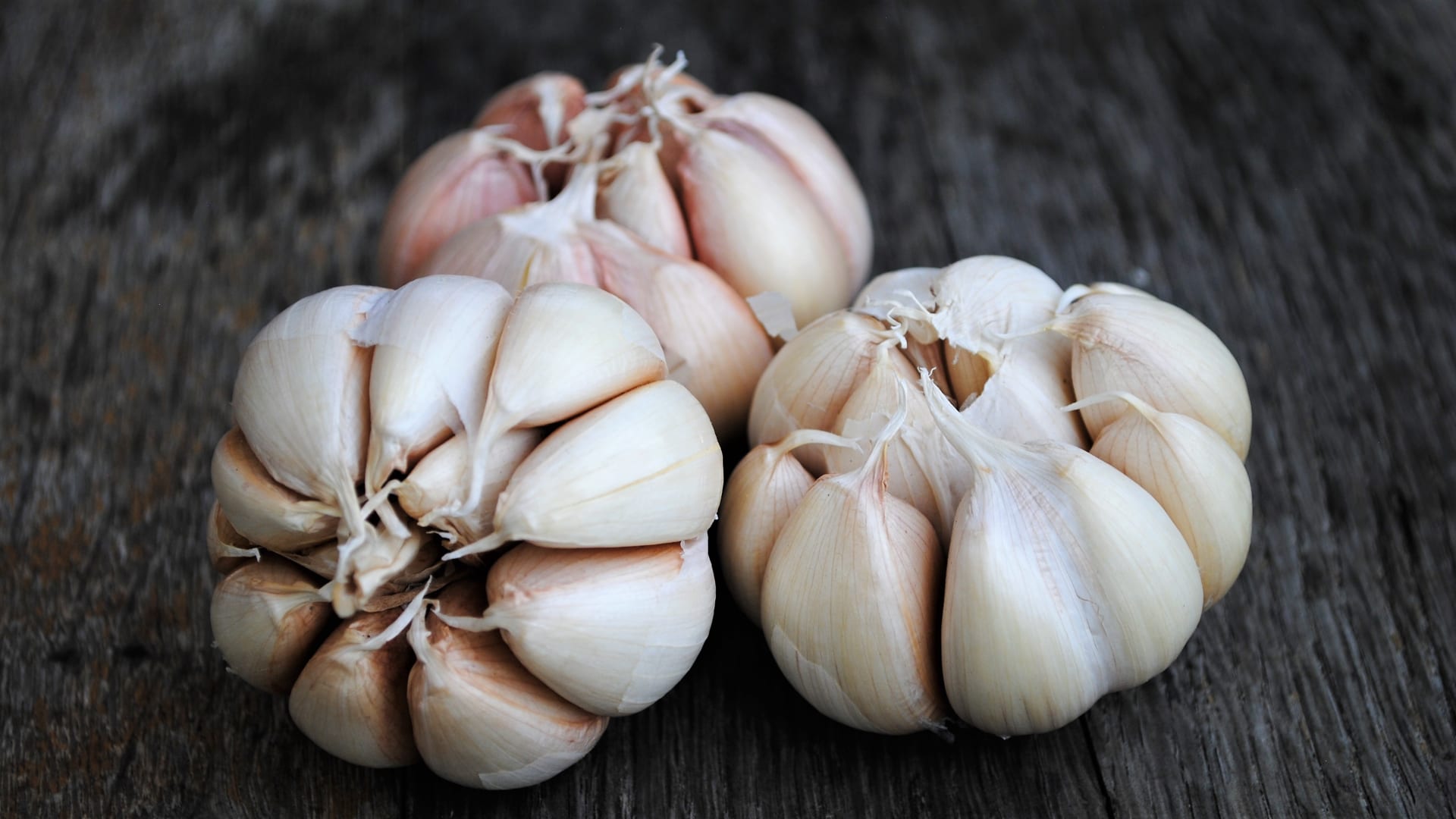 Czosnek (Allium sativum) warto spożywać tak często, jak to możliwe, w okresach zwiększonej zachorowalności na grypę i inne choroby związane z przeziębieniem, zarówno w celach profilaktycznych, jak i leczniczych.