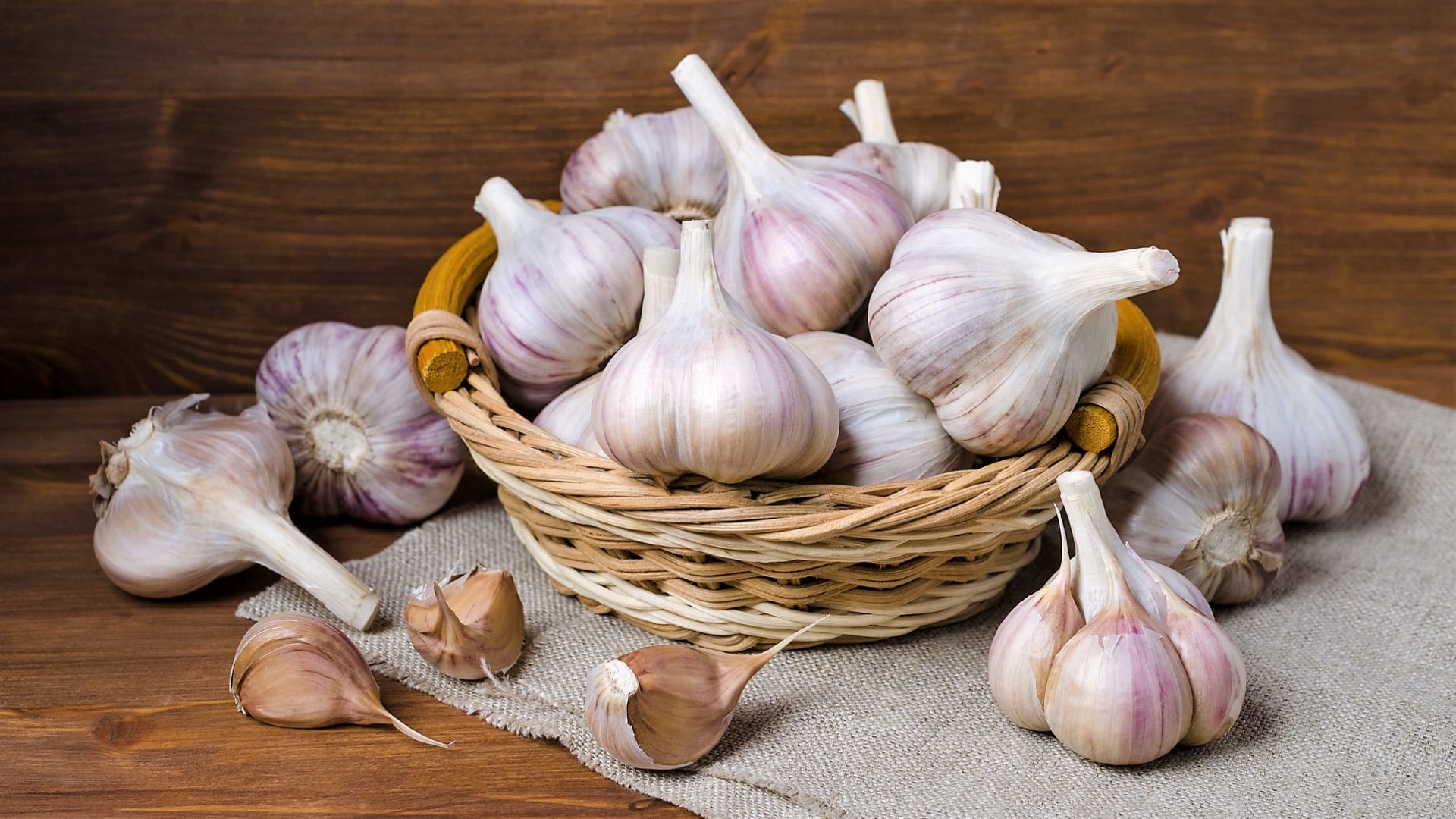 Czosnek kuchenny (Allium sativum) jest popularny ze względu na wyraźny aromat, doskonały smak i działanie lecznicze. 