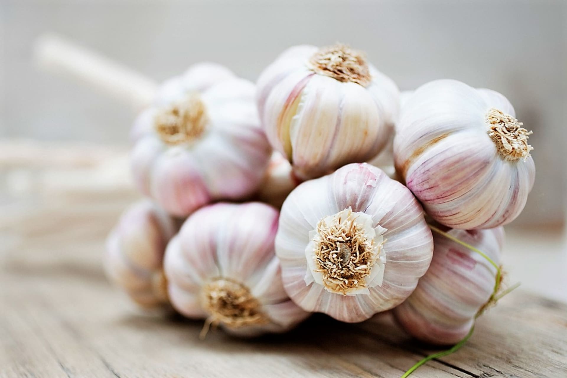 Czosnek (Allium sativum) w naturalny sposób pomaga chronić przed infekcjami wirusowymi. 