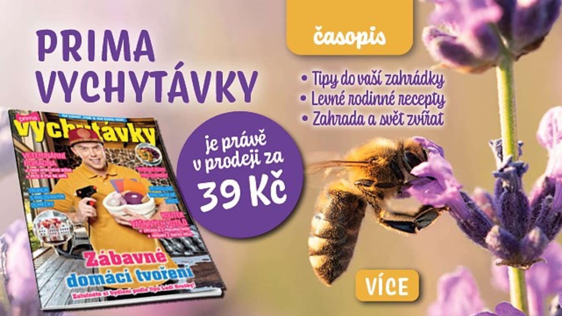 Magazyn Prima vychytavky 5-23