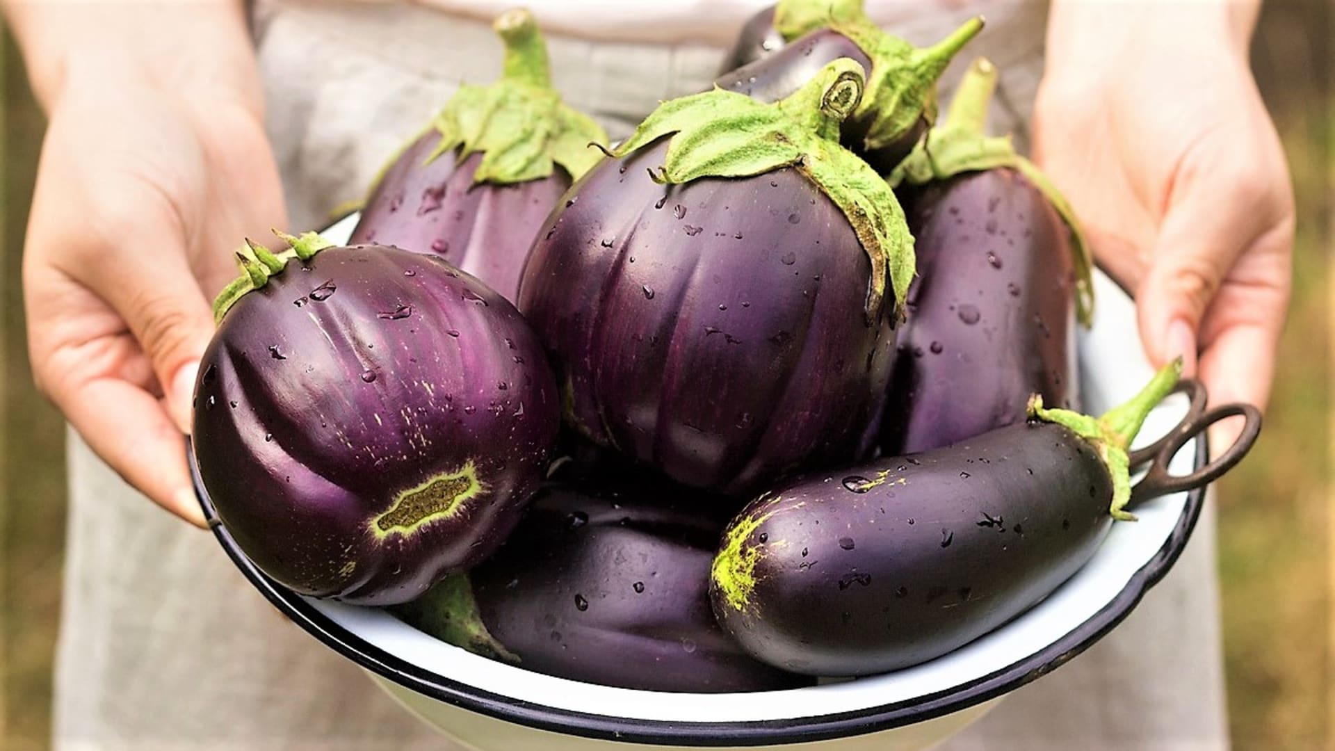 Bakłażan (Solanum melongena) lub bakłażan to ciepłolubna roślina, która ma typowe ciemnofioletowe, błyszczące, owalne, jajowate owoce z jędrnym, kremowobiałym miąższem; ale owoce mogą mieć różne kształty i kolory, miąższ jest zawsze jasny. 